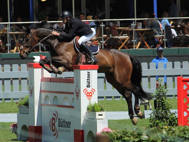 盖利男篮送四川，5人得分上双，库马杰两双数据，.