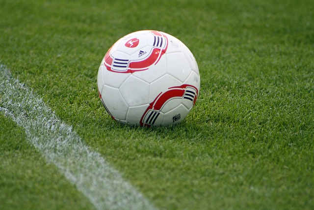 英超：墨菲和威爾遜帶領紐卡4比0大勝水晶宮.