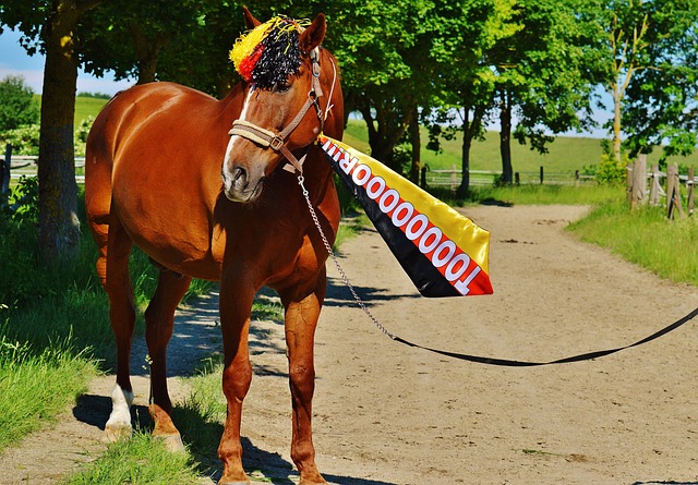 快船126-113力克尼克斯，重返第六！2将满分，3将合格，3将迷失.