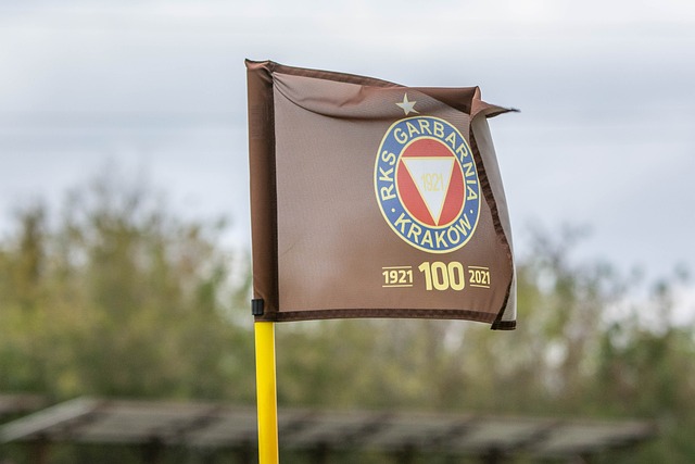 西部排名变化：火箭13战12胜坐稳第二 快船跌第八勇士升第六.