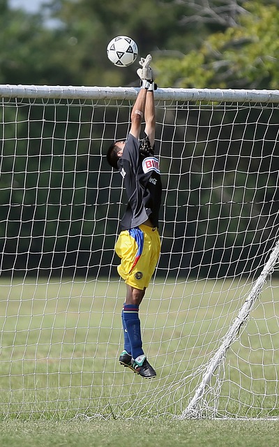 西部排名变化：火箭13战12胜坐稳第二 快船跌第八勇士升第六.