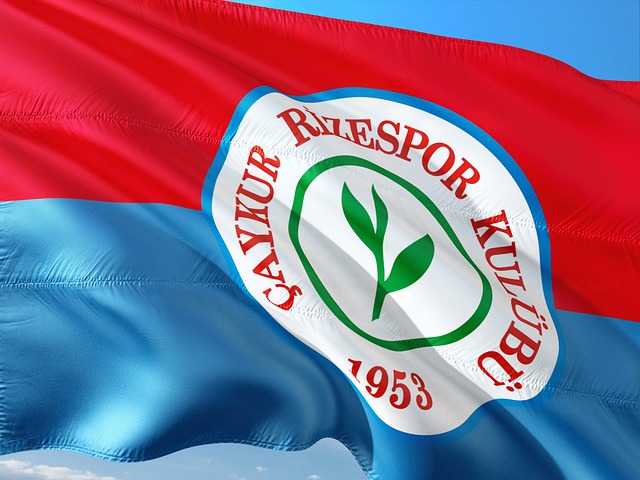 后程发力！小年状元里萨谢，争夺最佳新秀的希望.