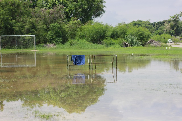 印有拉什福德名字的球衣，是上赛季最畅销的曼联球衣.