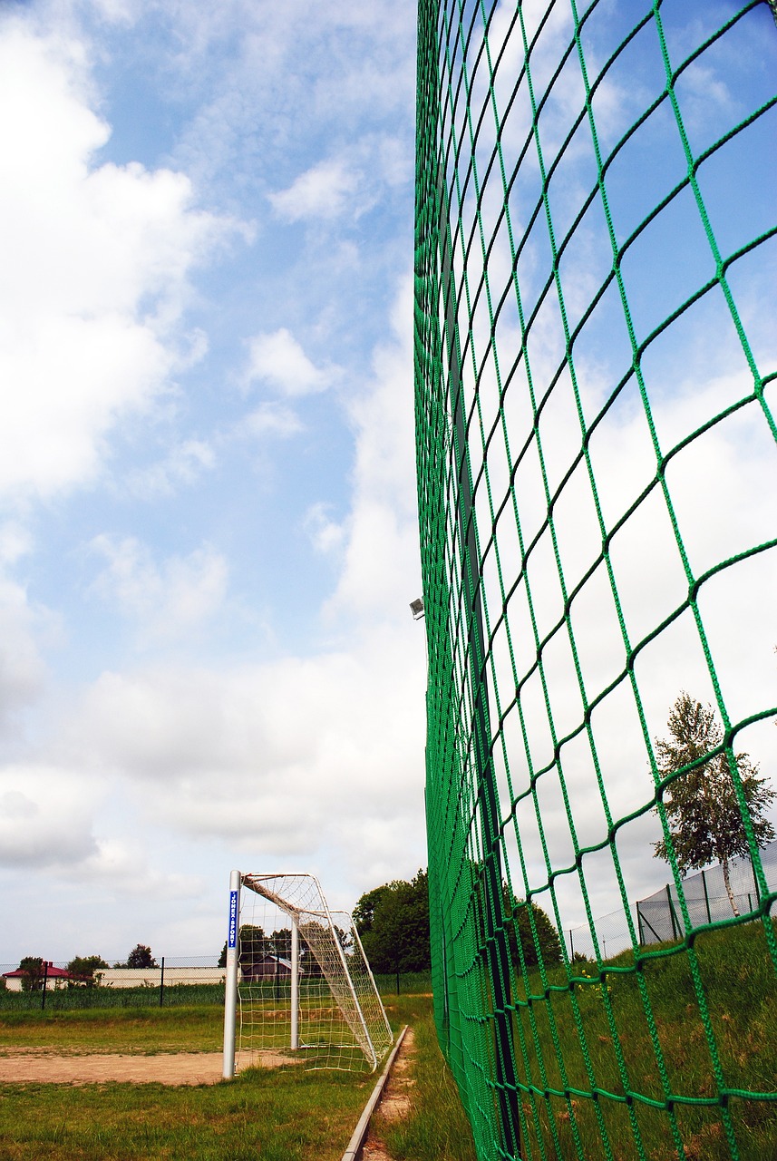 赛季报销！场均收入54万的打工人：锡安的下一站是勇士？​.