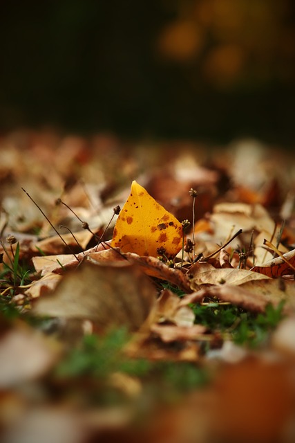 笑傲德比！巴黎3-1马赛26轮不败19分领跑 登贝莱法甲赛季第21球.