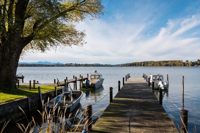 徐新：2024无疑是大丰收的一年 完美的赛季.